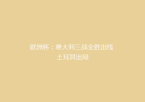 欧洲杯：意大利三战全胜出线 土耳其出局