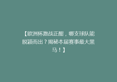 【欧洲杯激战正酣，哪支球队能脱颖而出？揭秘本届赛事最大黑马！】