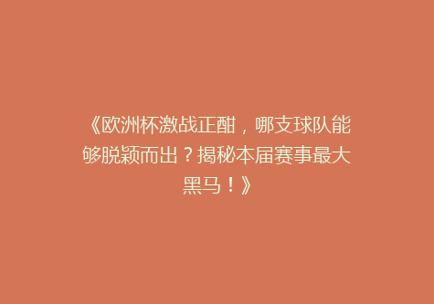 《欧洲杯激战正酣，哪支球队能够脱颖而出？揭秘本届赛事最大黑马！》
