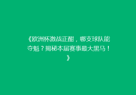 《欧洲杯激战正酣，哪支球队能夺魁？揭秘本届赛事最大黑马！》
