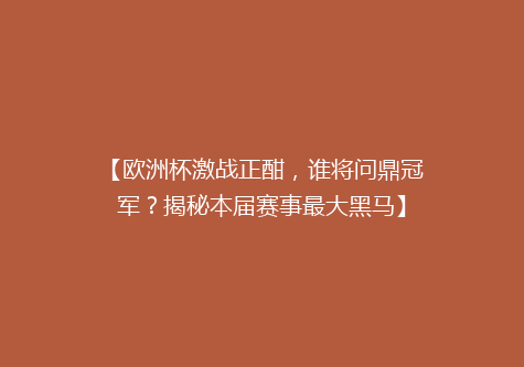 【欧洲杯激战正酣，谁将问鼎冠军？揭秘本届赛事最大黑马】