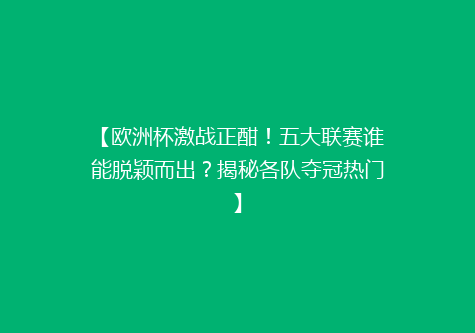 【欧洲杯激战正酣！五大联赛谁能脱颖而出？揭秘各队夺冠热门】