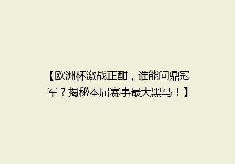 【欧洲杯激战正酣，谁能问鼎冠军？揭秘本届赛事最大黑马！】